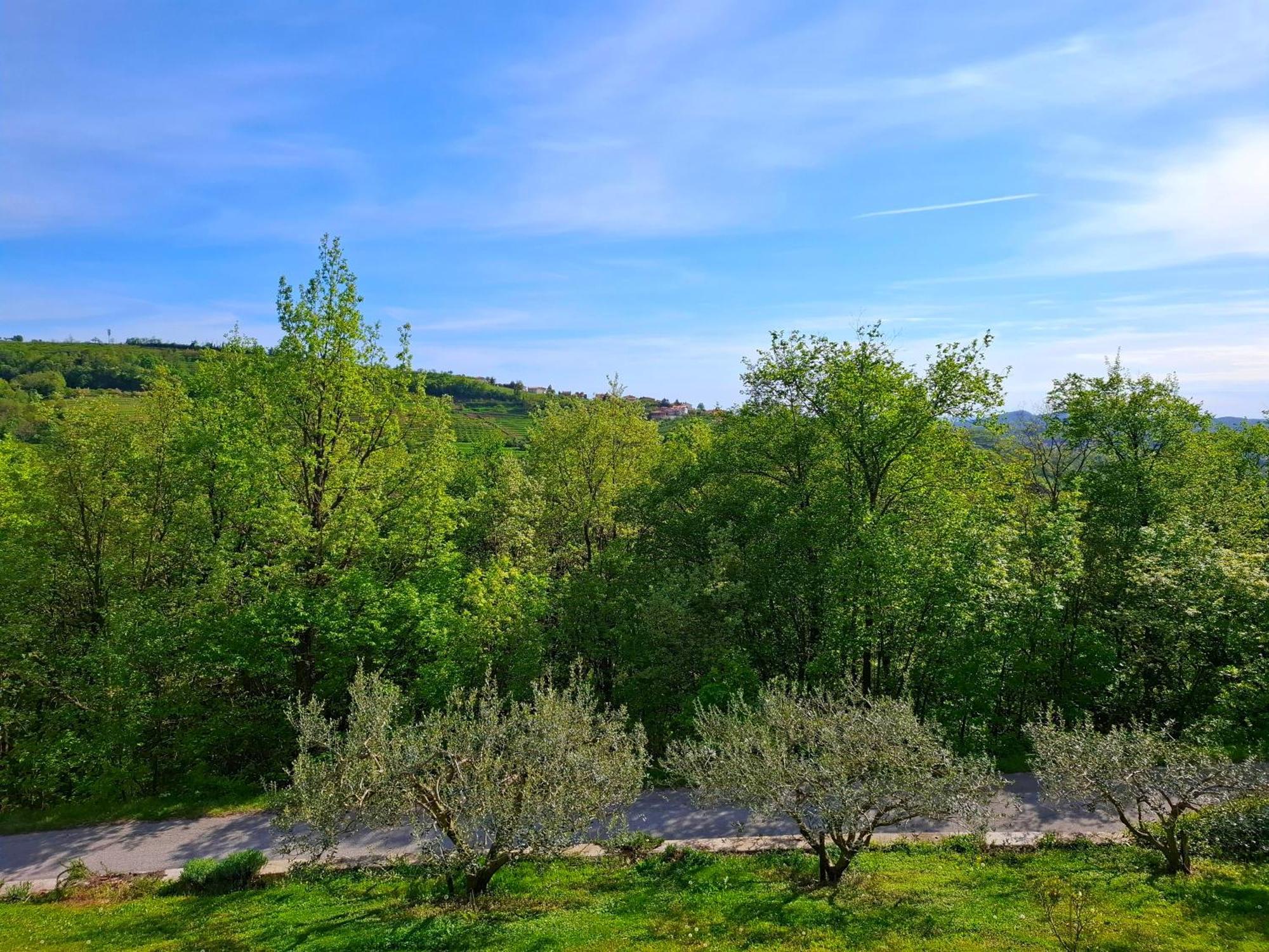 Apartma Lavanda Kojsko Exterior foto